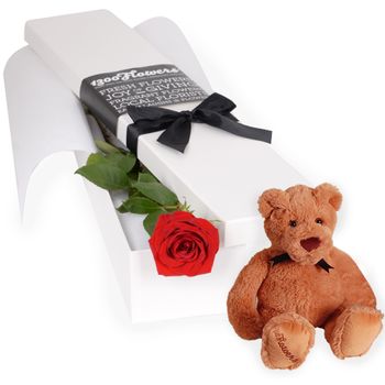 Flowers-Valentine's Day Gemma with Bear