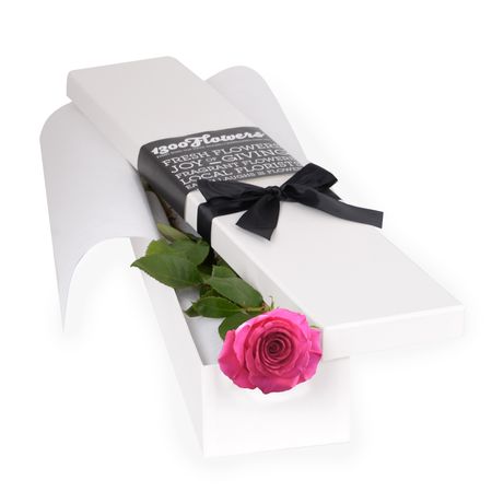 Valentine's Day Gemma Pink