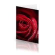 Forever Yours Card