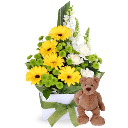 Baby Bear