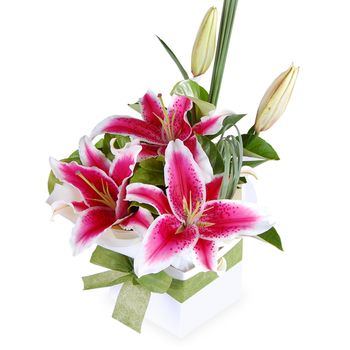 Flowers-Collette