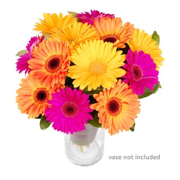 1300FLOWERS ® - Same day flower delivery