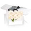 Flowers-Valentine's Day Mischa White