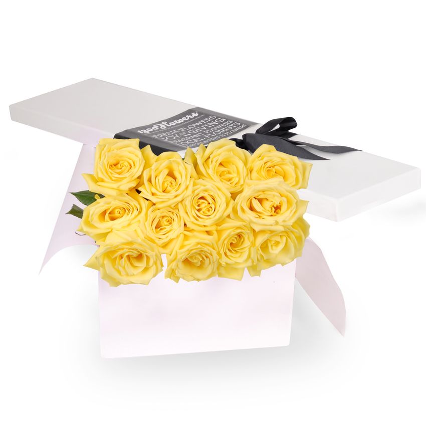 Sofia Yellow