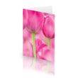 Pink Tulips Card