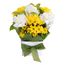 Flowers-Blooms Yellow