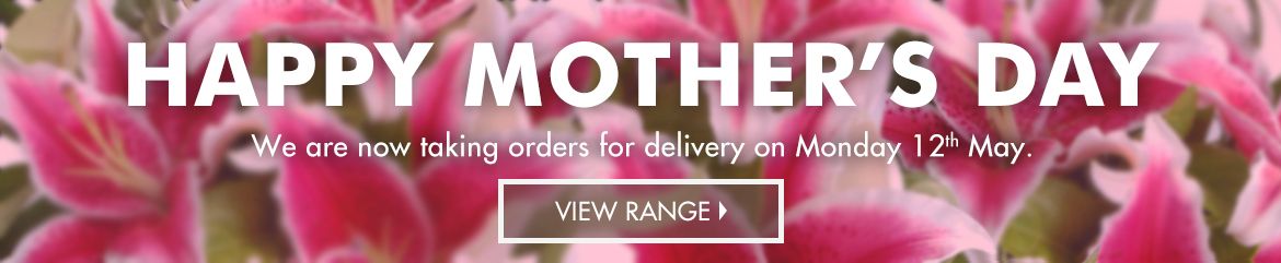 Mother's Day